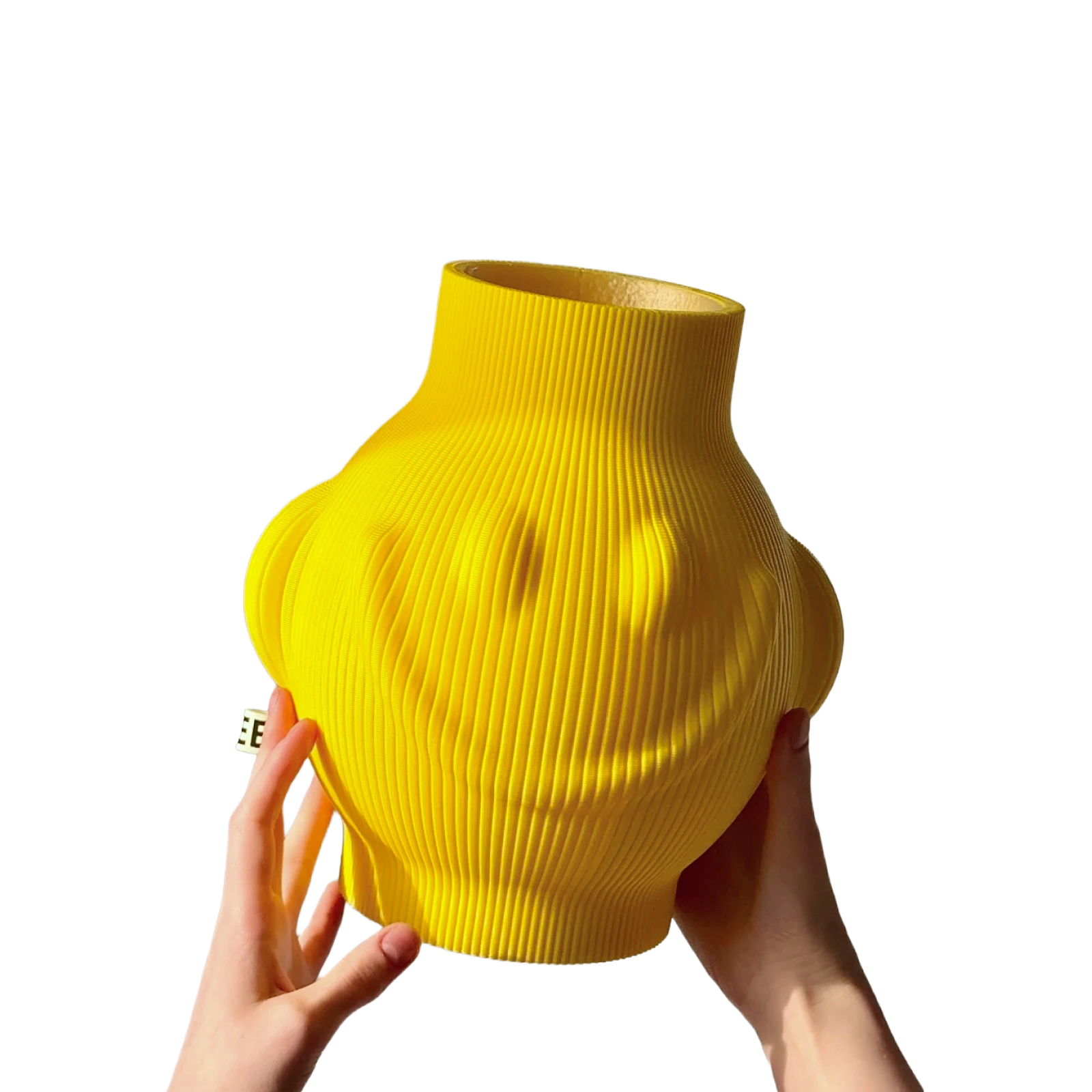 cover-vase-2.webp